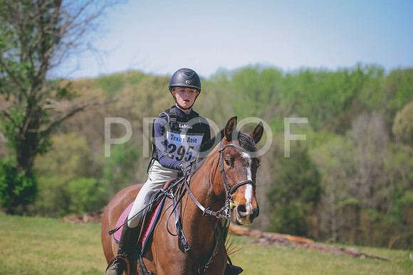 RWP_6333