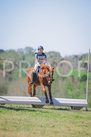RWP_6334