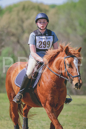 RWP_6340