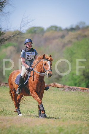 RWP_6335