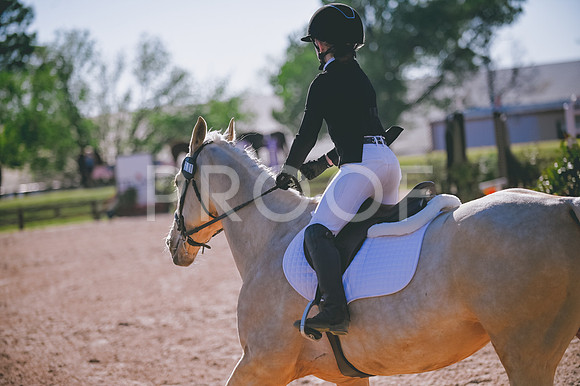 DSC_2883