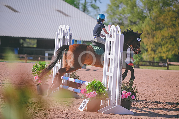DSC_3603