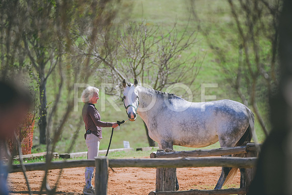 DSC_3693