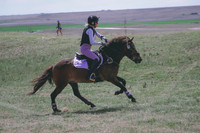 CDH_8856