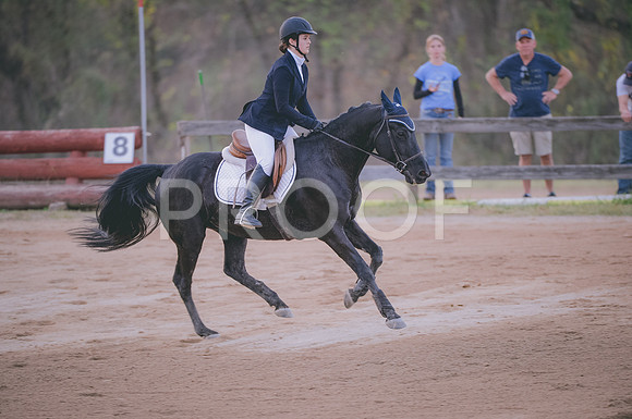 JJS_3916