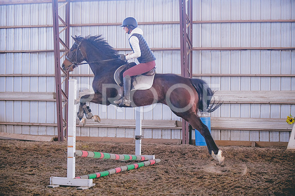 DSC_7595