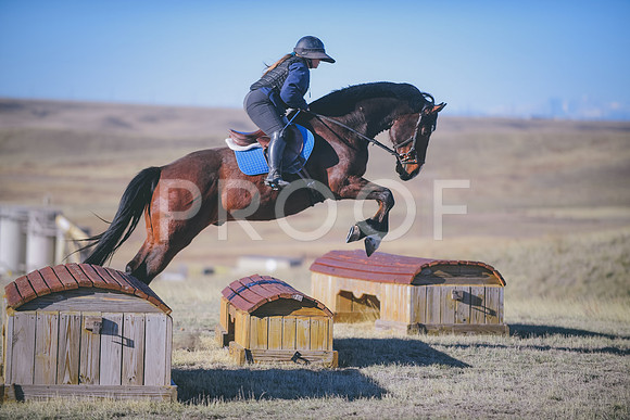 DSC_6415