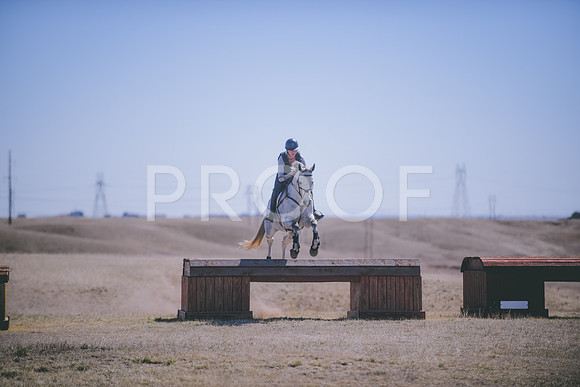 DSC_0210