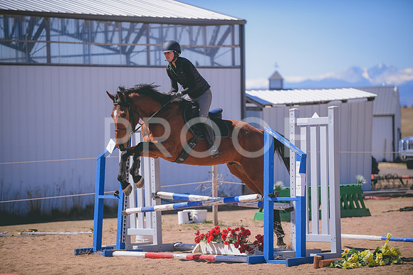 DSC_0346