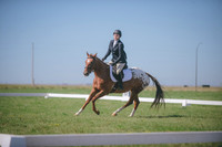 JJS_2008