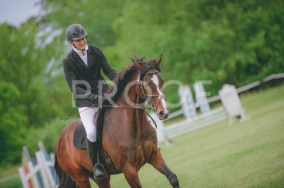 JJS_0591