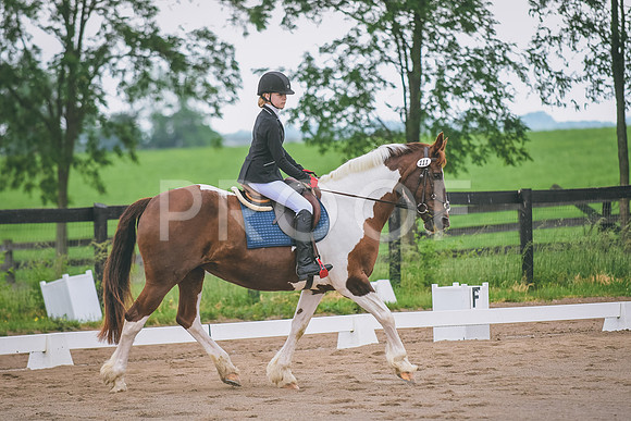 DSC_4974