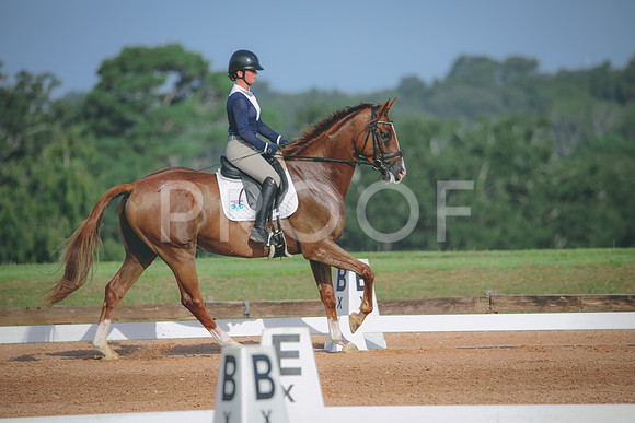 RWP_4439