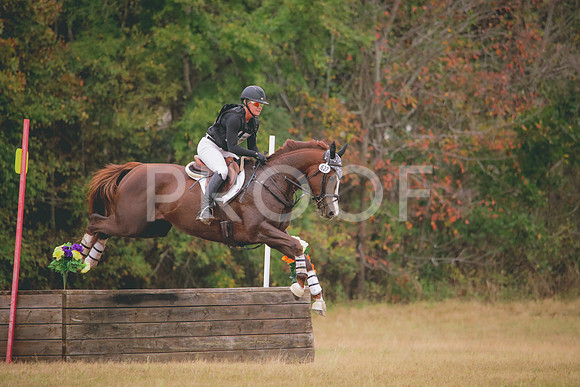 RWP_2874