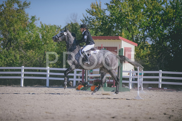 JJS_0369