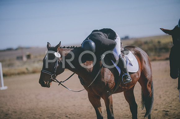 JJS_1592