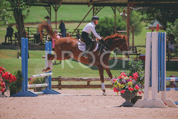 RWP_5788