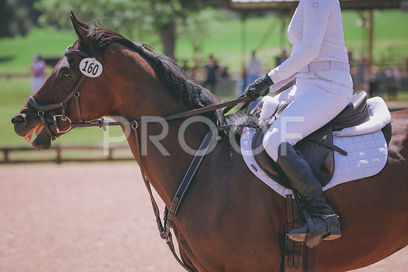 RWP_5413
