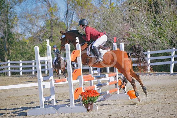 DSC_2944