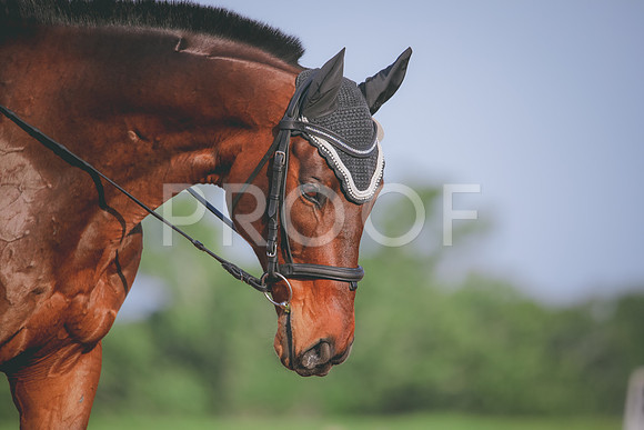 RWP_3669