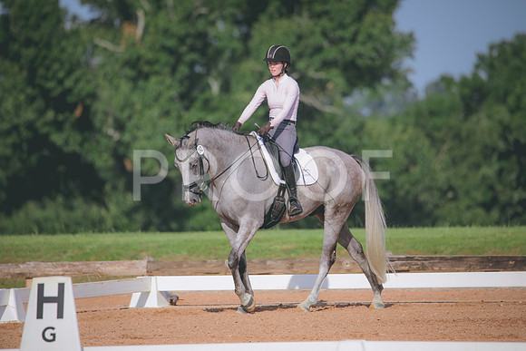 RWP_4569