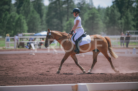 JJS_0808A