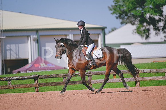 DSC_2145