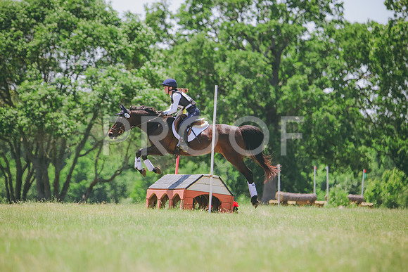 RWP_8013
