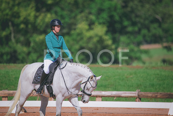 RWP_6933