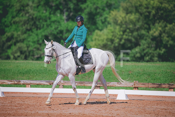 RWP_6937