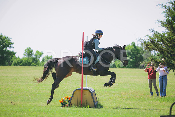 RWP_8558