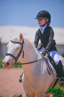 DSC_4290