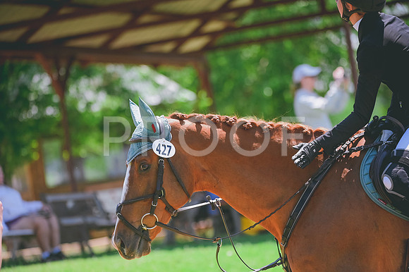 DSC_6127
