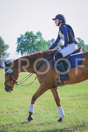 BYR_0239