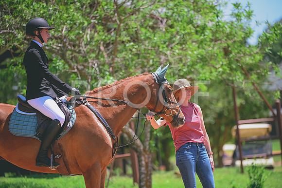 DSC_5295