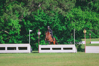 BYR_0979
