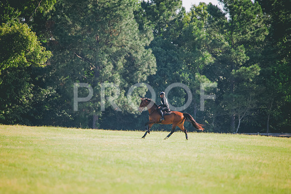 RWP_9289
