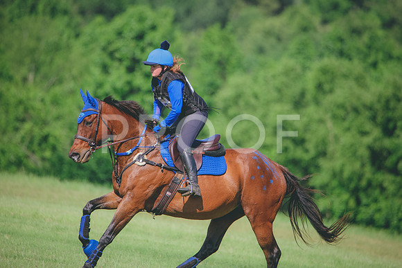 RWP_9578