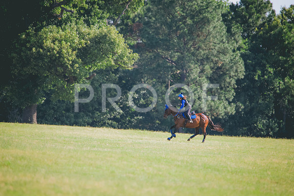 RWP_9567