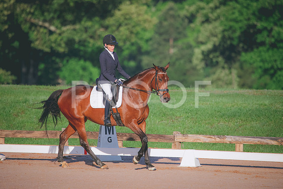 RWP_5815