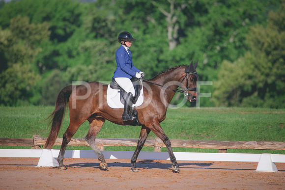 RWP_6085
