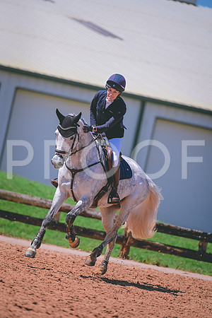 DSC_1313