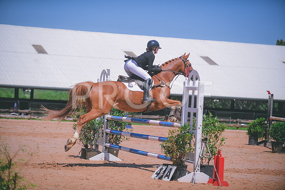 DSC_3242