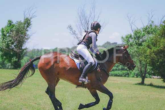 BYR_0091