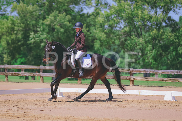 BYR_0478