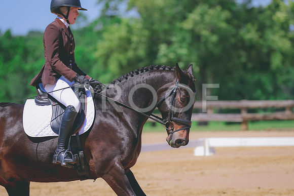 BYR_0436