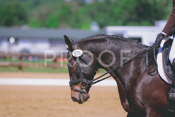 BYR_0372