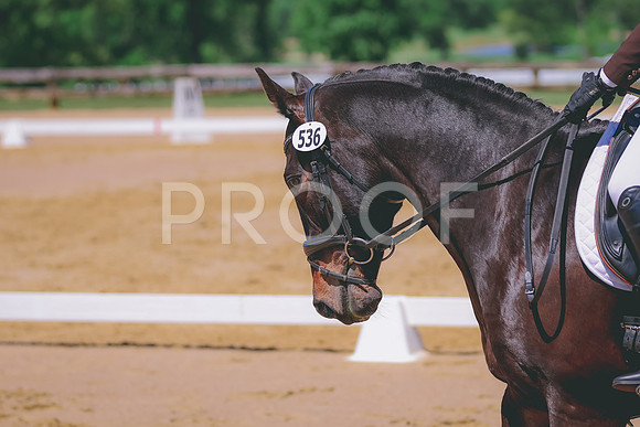 BYR_0274