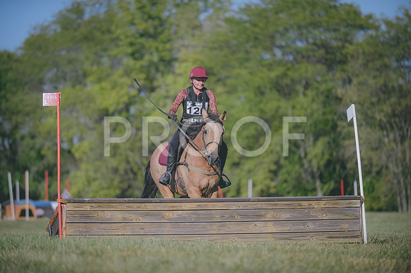 JJS_0971