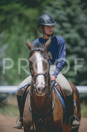 JJS_2651A